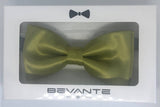 TBOW-6 Yellow Bow Tie